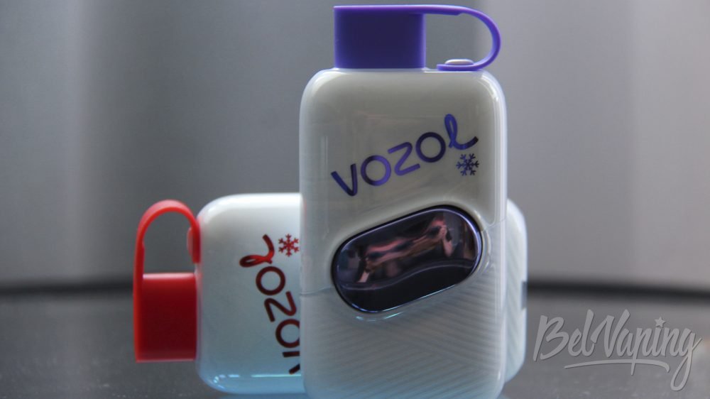 Обзор одноразок Vozol Star Click 40000