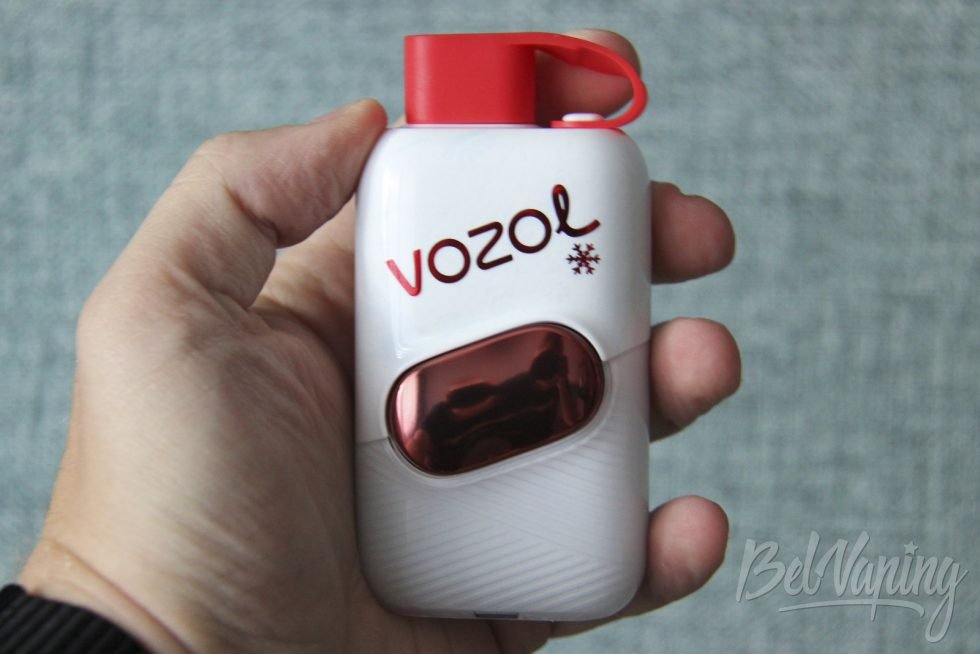 Внешний вид одноразок Vozol Star Click 4000 в руке