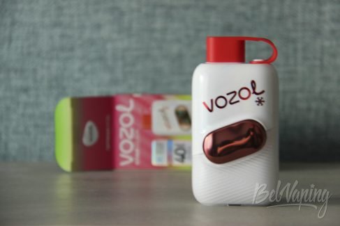 Упаковка одноразок Vozol Star Click 4000