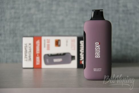 Внешний вид одноразок Brusko Select 20000
