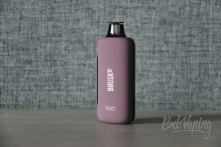 Внешний вид одноразок Brusko Select 20000